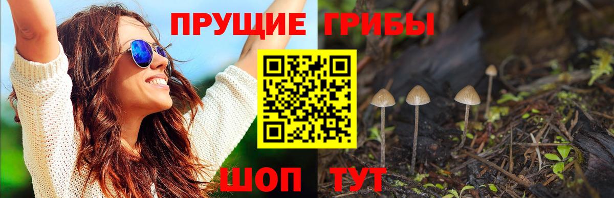МЕТАМФЕТАМИН  Зима  Мефедрон   Вход с VPN  Гашиш  Бошки Шишки 